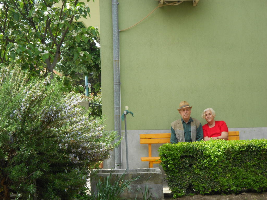 Nelly Guest House سوزوبول المظهر الخارجي الصورة